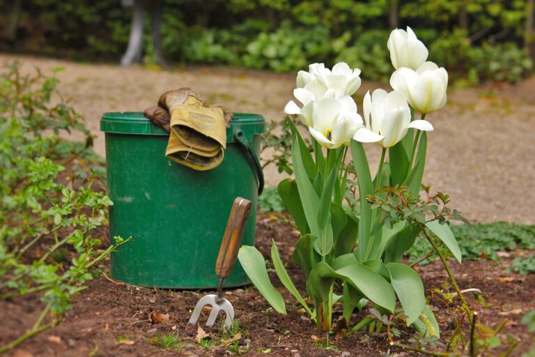 Flourishing Gardens: The Eco-Savvy Guide to Sustainable Gardening