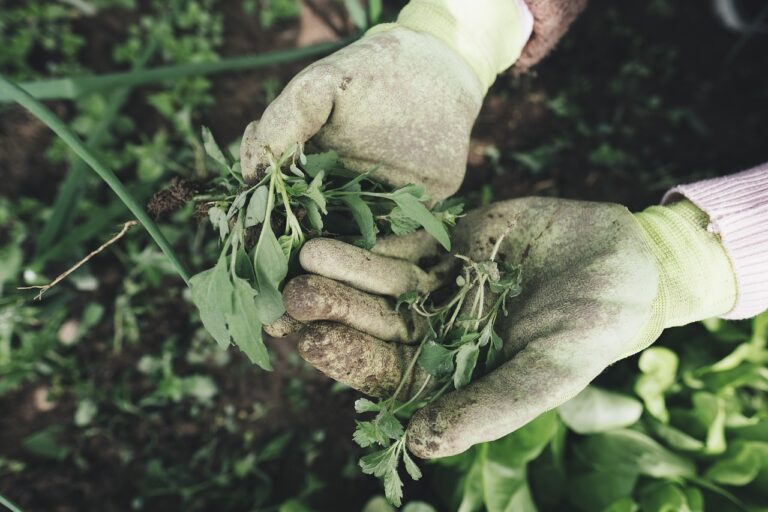 Compost Magic: Turn Trash into Treasure in Your Backyard